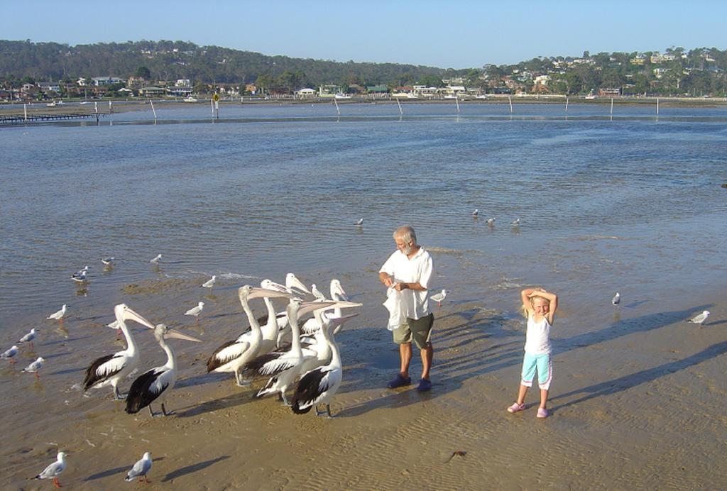 Nautilus Apartments Merimbula Zewnętrze zdjęcie