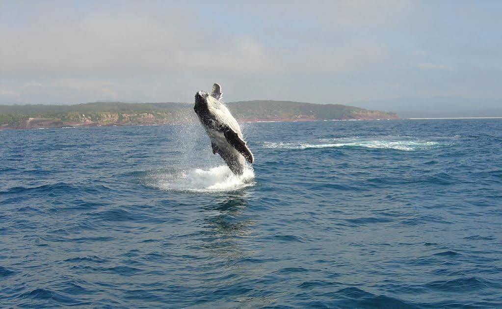 Nautilus Apartments Merimbula Zewnętrze zdjęcie